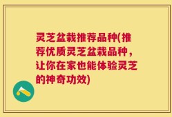 灵芝盆栽推荐品种(推荐优质灵芝盆栽品种，让你在家也能体验灵芝的神奇功效)