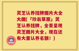 灵芝认养挂牌图片大全大图(「珍翁草原」灵芝认养挂牌，全景呈现灵芝图片大全，现在还有大量认养名额！)