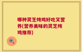 哪种灵芝炖鸡好吃又营养(营养美味的灵芝炖鸡推荐)