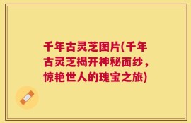 千年古灵芝图片(千年古灵芝揭开神秘面纱，惊艳世人的瑰宝之旅)
