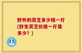 野外的灵芝多少钱一斤(野生灵芝价格一斤是多少？)