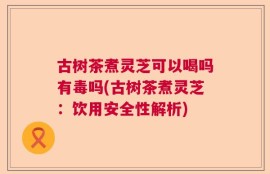 古树茶煮灵芝可以喝吗有毒吗(古树茶煮灵芝：饮用安全性解析)