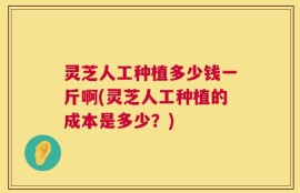 灵芝人工种植多少钱一斤啊(灵芝人工种植的成本是多少？)