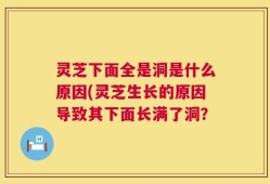 灵芝下面全是洞是什么原因(灵芝生长的原因导致其下面长满了洞？