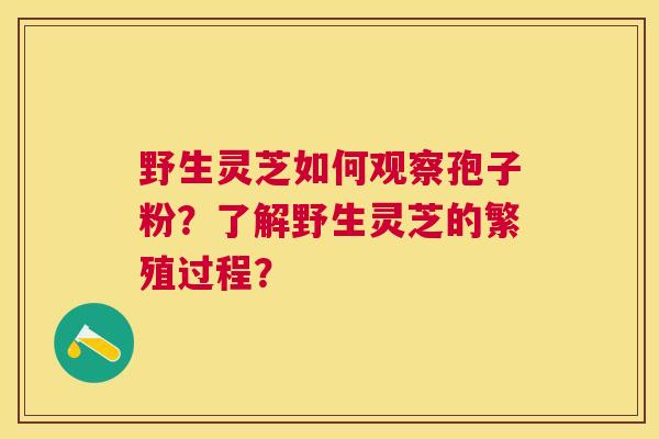 野生灵芝如何观察孢子粉?了解野生灵芝的繁殖过程? 野生灵芝如何观察孢子粉?了解野生灵芝的繁殖过程?