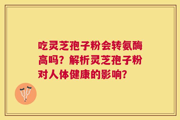 吃灵芝孢子粉会转氨酶高吗?解析灵芝孢子粉对人体健康的影响? 吃灵芝孢子粉会转氨酶高吗?解析灵芝孢子粉对人体健康的影响?