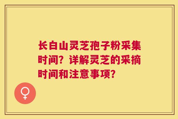 长白山灵芝孢子粉采集时间？详解灵芝的采摘时间和注意事项？
