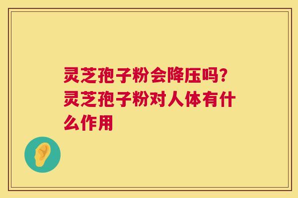 灵芝孢子粉会吗?灵芝孢子粉对人体有什么作用 灵芝孢子粉会吗?灵芝孢子粉对人体有什么作用