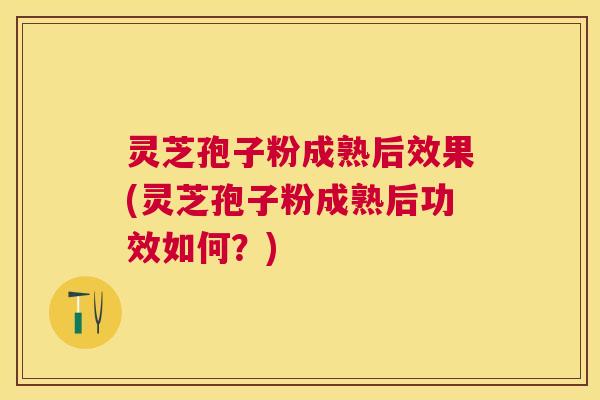 灵芝孢子粉成熟后效果(灵芝孢子粉成熟后功效如何?) 灵芝孢子粉成熟后效果(灵芝孢子粉成熟后功效如何?)
