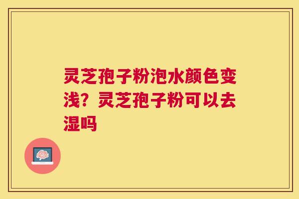灵芝孢子粉泡水颜色变浅?灵芝孢子粉可以去湿吗 灵芝孢子粉泡水颜色变浅?灵芝孢子粉可以去湿吗