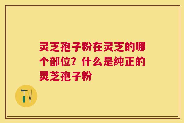 灵芝孢子粉在灵芝的哪个部位?什么是纯正的灵芝孢子粉 灵芝孢子粉在灵芝的哪个部位?什么是纯正的灵芝孢子粉