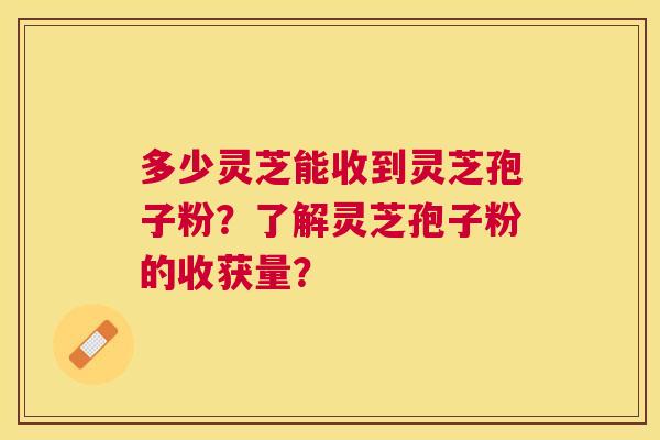 多少灵芝能收到灵芝孢子粉?了解灵芝孢子粉的收获量? 多少灵芝能收到灵芝孢子粉?了解灵芝孢子粉的收获量?