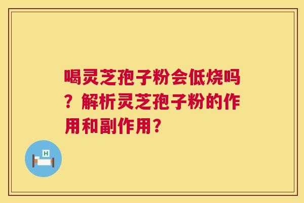 喝灵芝孢子粉会低烧吗？解析灵芝孢子粉的作用和副作用？