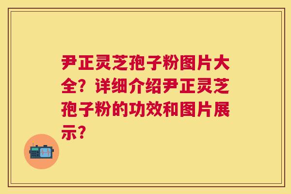 尹正灵芝孢子粉图片大全?详细介绍尹正灵芝孢子粉的功效和图片展示? 尹正灵芝孢子粉图片大全?详细介绍尹正灵芝孢子粉的功效和图片展示?