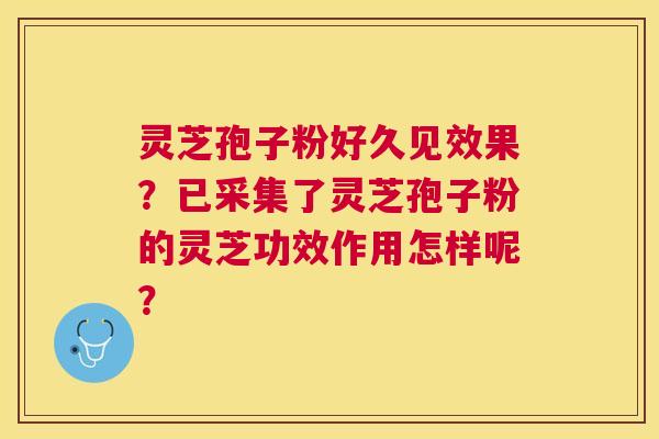 灵芝孢子粉好久见效果？已采集了灵芝孢子粉的灵芝功效作用怎样呢？