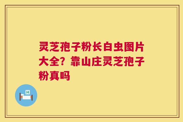 灵芝孢子粉长白虫图片大全?靠山庄灵芝孢子粉真吗 灵芝孢子粉长白虫图片大全?靠山庄灵芝孢子粉真吗