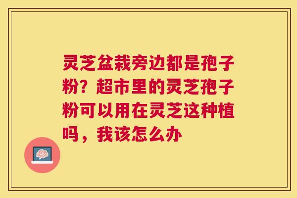 灵芝盆栽旁边都是孢子粉？超市里的灵芝孢子粉可以用在灵芝这种植吗，我该怎么办