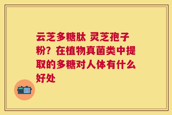 云芝多糖肽 灵芝孢子粉?在植物真菌类中提取的多糖对人体有什么好处 云芝多糖肽 灵芝孢子粉?在植物真菌类中提取的多糖对人体有什么好处