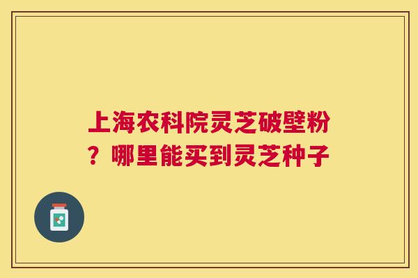 上海农科院灵芝破壁粉?哪里能买到灵芝种子 上海农科院灵芝破壁粉?哪里能买到灵芝种子