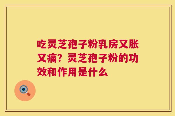 吃灵芝孢子粉乳房又胀又痛?灵芝孢子粉的功效和作用是什么 吃灵芝孢子粉乳房又胀又痛?灵芝孢子粉的功效和作用是什么
