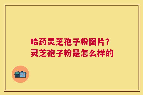 哈药灵芝孢子粉图片?灵芝孢子粉是怎么样的 哈药灵芝孢子粉图片?灵芝孢子粉是怎么样的