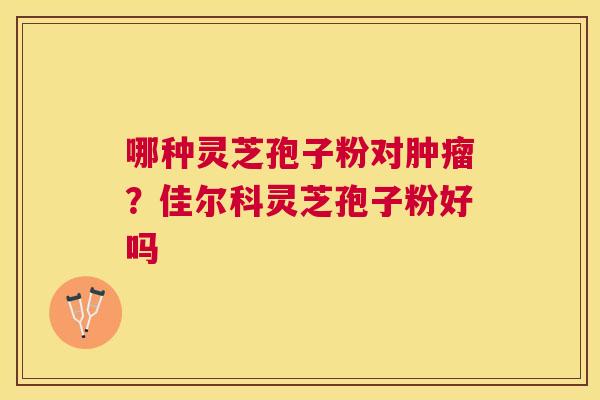 哪种灵芝孢子粉对?佳尔科灵芝孢子粉好吗 哪种灵芝孢子粉对?佳尔科灵芝孢子粉好吗