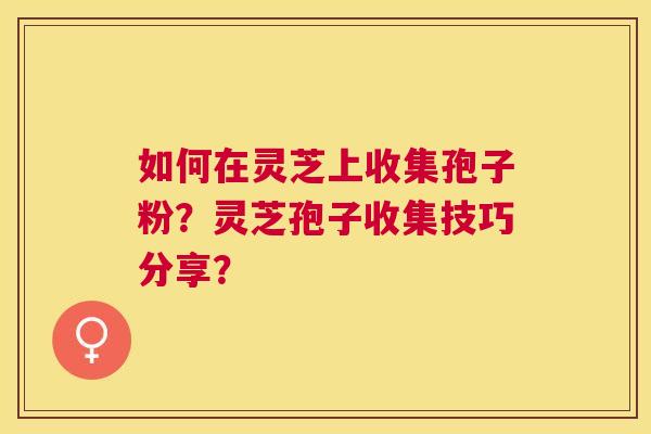 如何在灵芝上收集孢子粉?灵芝孢子收集技巧分享? 如何在灵芝上收集孢子粉?灵芝孢子收集技巧分享?