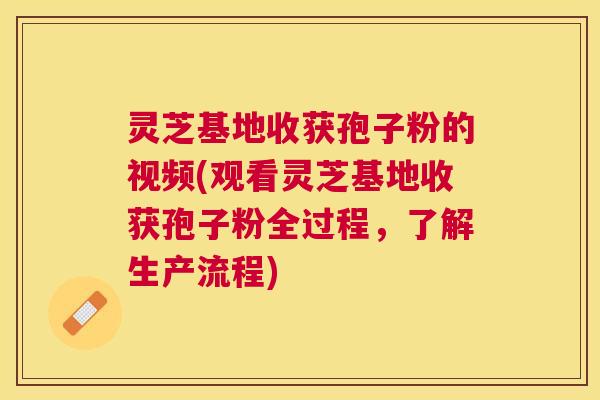 灵芝基地收获孢子粉的视频(观看灵芝基地收获孢子粉全过程，了解生产流程)