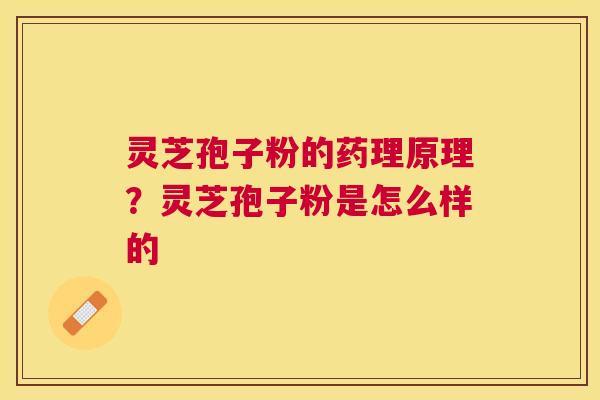 灵芝孢子粉的药理原理?灵芝孢子粉是怎么样的 灵芝孢子粉的药理原理?灵芝孢子粉是怎么样的