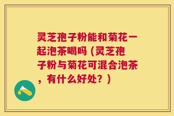 灵芝孢子粉能和菊花一起泡茶喝吗 (灵芝孢子粉与菊花可混合泡茶,有什么好处?) 灵芝孢子粉能和菊花一起泡茶喝吗 (灵芝孢子粉与菊花可混合泡茶,有什么好处?)