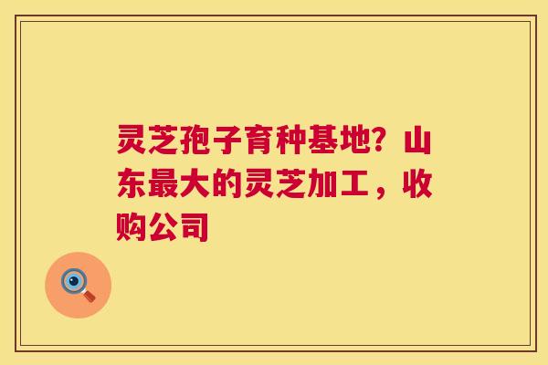 灵芝孢子育种基地?山东大的灵芝加工,收购公司 灵芝孢子育种基地?山东大的灵芝加工,收购公司