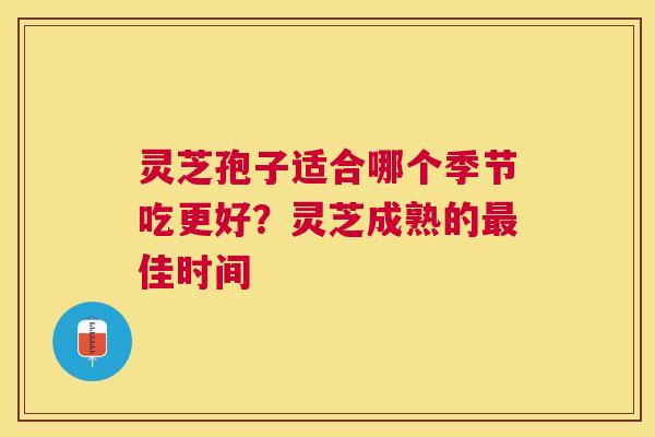 灵芝孢子适合哪个季节吃更好?灵芝成熟的佳时间 灵芝孢子适合哪个季节吃更好?灵芝成熟的佳时间