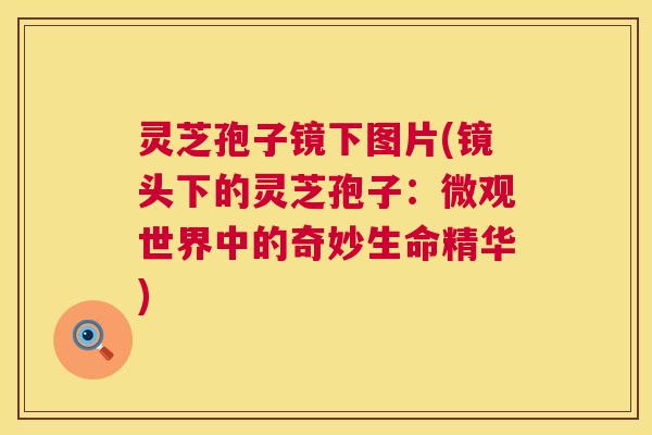 灵芝孢子镜下图片(镜头下的灵芝孢子:微观世界中的奇妙生命精华) 灵芝孢子镜下图片(镜头下的灵芝孢子:微观世界中的奇妙生命精华)