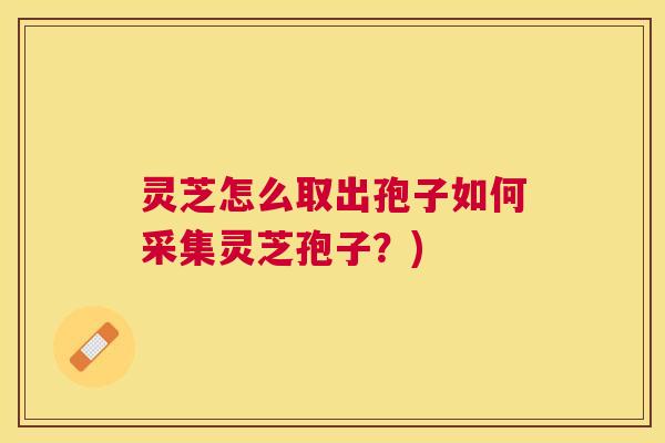 灵芝怎么取出孢子如何采集灵芝孢子?) 灵芝怎么取出孢子如何采集灵芝孢子?)