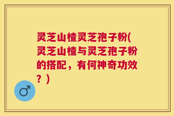 灵芝山楂灵芝孢子粉(灵芝山楂与灵芝孢子粉的搭配,有何神奇功效?) 灵芝山楂灵芝孢子粉(灵芝山楂与灵芝孢子粉的搭配,有何神奇功效?)