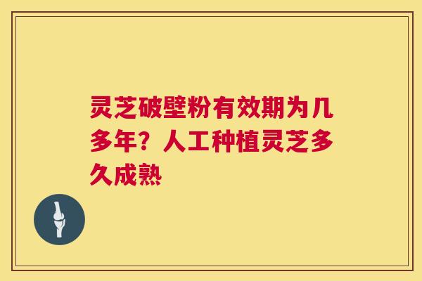 灵芝破壁粉有效期为几多年?人工种植灵芝多久成熟 灵芝破壁粉有效期为几多年?人工种植灵芝多久成熟