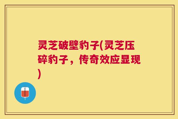 灵芝破壁豹子(灵芝压碎豹子,传奇效应显现) 灵芝破壁豹子(灵芝压碎豹子,传奇效应显现)