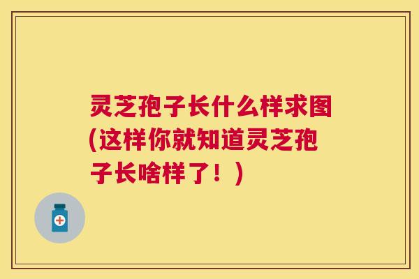 灵芝孢子长什么样求图(这样你就知道灵芝孢子长啥样了！)