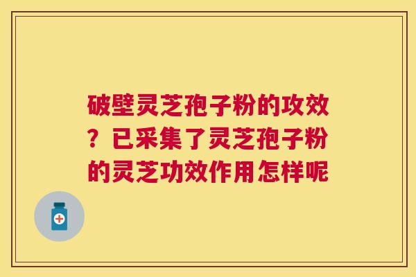 破壁灵芝孢子粉的攻效?已采集了灵芝孢子粉的灵芝功效作用怎样呢 破壁灵芝孢子粉的攻效?已采集了灵芝孢子粉的灵芝功效作用怎样呢