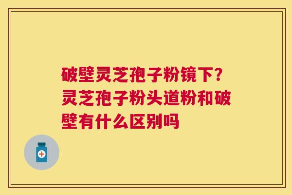 破壁灵芝孢子粉镜下?灵芝孢子粉头道粉和破壁有什么区别吗 破壁灵芝孢子粉镜下?灵芝孢子粉头道粉和破壁有什么区别吗