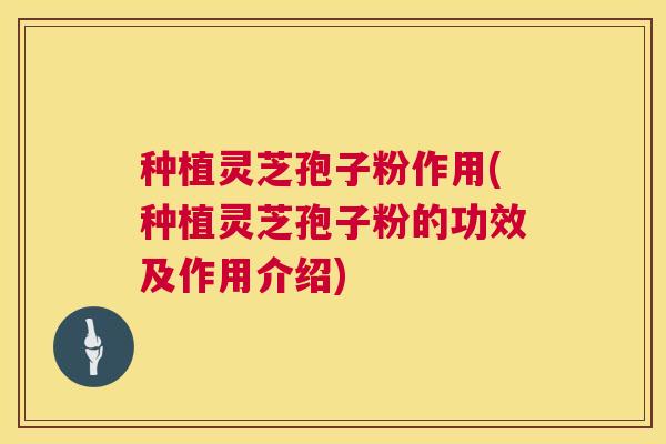 种植灵芝孢子粉作用(种植灵芝孢子粉的功效及作用介绍)
