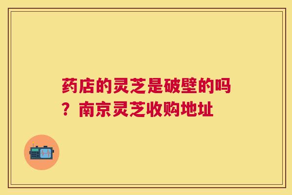 药店的灵芝是破壁的吗?南京灵芝收购地址 药店的灵芝是破壁的吗?南京灵芝收购地址
