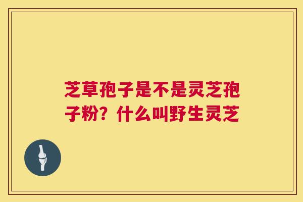 芝草孢子是不是灵芝孢子粉?什么叫野生灵芝 芝草孢子是不是灵芝孢子粉?什么叫野生灵芝