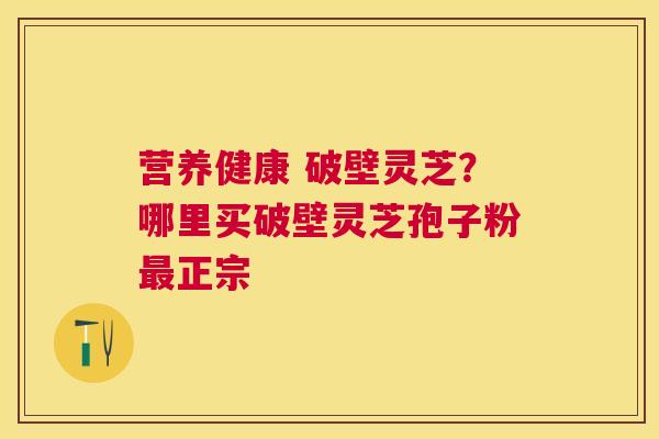 营养健康 破壁灵芝?哪里买破壁灵芝孢子粉正宗 营养健康 破壁灵芝?哪里买破壁灵芝孢子粉正宗