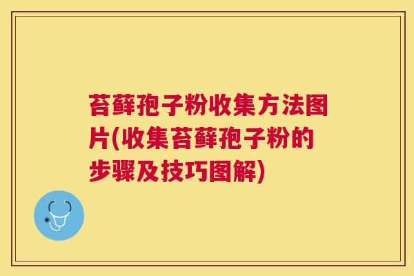 苔藓孢子粉收集方法图片(收集苔藓孢子粉的步骤及技巧图解) 苔藓孢子粉收集方法图片(收集苔藓孢子粉的步骤及技巧图解)