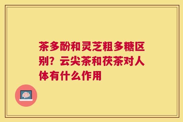 茶多酚和灵芝粗多糖区别?云尖茶和茯茶对人体有什么作用 茶多酚和灵芝粗多糖区别?云尖茶和茯茶对人体有什么作用