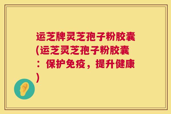 运芝牌灵芝孢子粉胶囊(运芝灵芝孢子粉胶囊:保护免疫,提升健康) 运芝牌灵芝孢子粉胶囊(运芝灵芝孢子粉胶囊:保护免疫,提升健康)