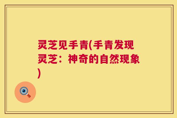 灵芝见手青(手青发现灵芝:神奇的自然现象) 灵芝见手青(手青发现灵芝:神奇的自然现象)