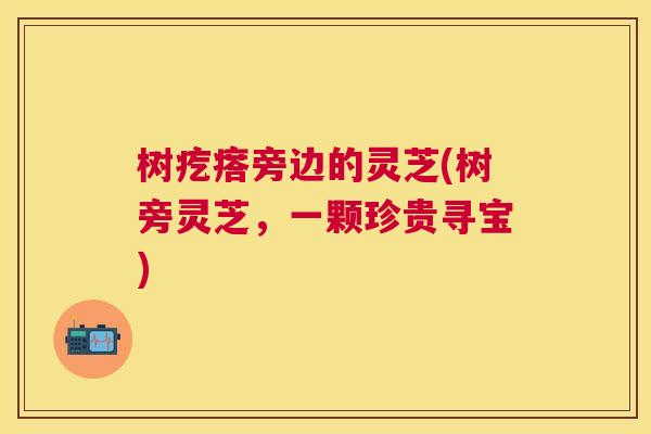 树疙瘩旁边的灵芝(树旁灵芝,一颗珍贵寻宝) 树疙瘩旁边的灵芝(树旁灵芝,一颗珍贵寻宝)