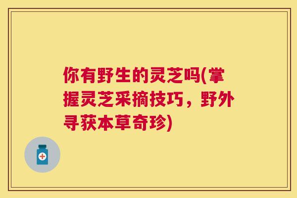 你有野生的灵芝吗(掌握灵芝采摘技巧,野外寻获本草奇珍) 你有野生的灵芝吗(掌握灵芝采摘技巧,野外寻获本草奇珍)